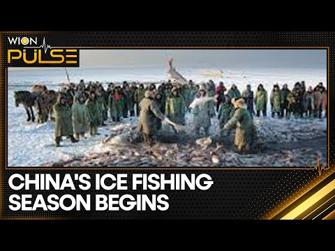China's Ice Fishing Season Begins; Thousands Of Fish Pulled From Ice Lake | World News | WON Pulse