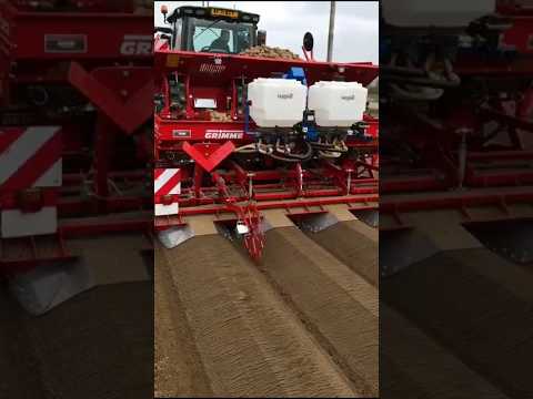 berhasil kalahkan indonesia