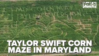 Taylor Swift theme corn maze opens in Maryland