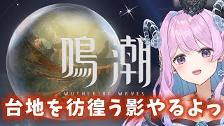 【#鳴潮】210 台地を彷徨う影やるのだわ〜！【#vtuber 】#ぶいきゃす杯 #PR #冬陽リッカ