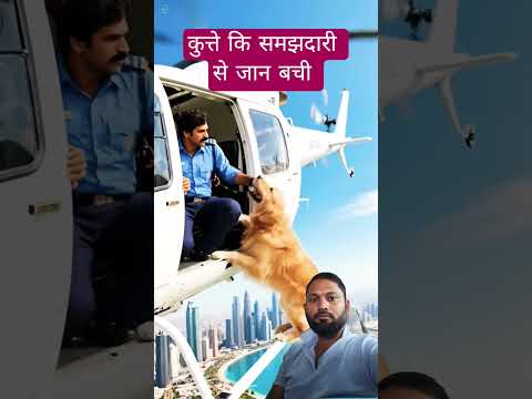 dog saved pilot life #helicopter #movie #entertainment