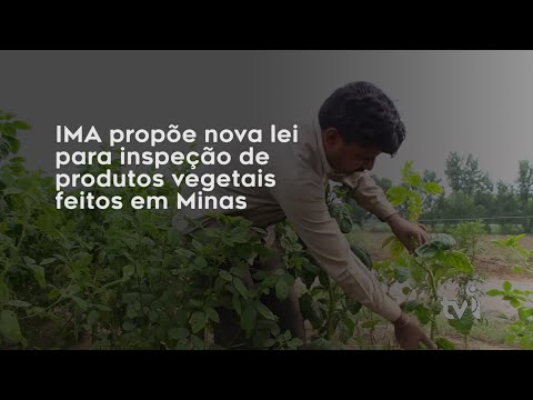 Vídeo: IMA propõe nova lei para inspeção de produtos vegetais feitos em Minas