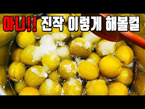 6월안에 매실은 무조건 이렇게 하세요🎶 놀라운 일이 벌어집니드아!