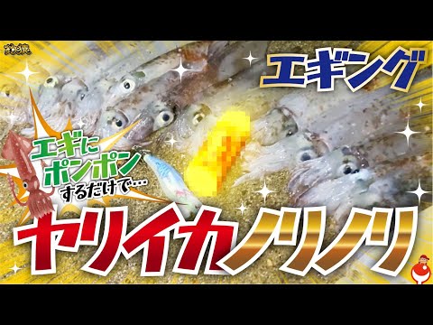 【ヤリイカ爆釣】エギにポンポンするだけ!? 禁断アイテムでノリノリ無双エギング！