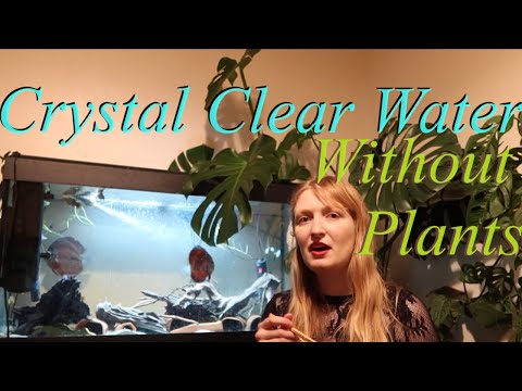 How to get crystal clear aquarium water? Plants ar How to get good water clarity and crystal clear water within the aquarium? With hints and trips from