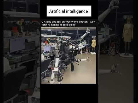 Chinese  Human Robot  companies for daily work