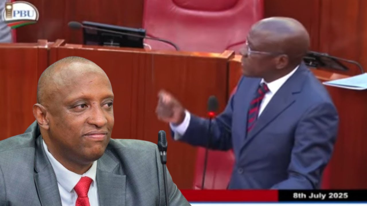 SENATORS BOMBARD GOVERNOR GUYO WITH TOUGH QUESTIONS DURING HIS IMPEACHMENT