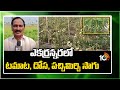ఎకరన్నరలో టమాట, దోస, పచ్చిమిర్చి సాగు | | Green Chilli & Tomato Cultivation | Matti Manishi | 10TV