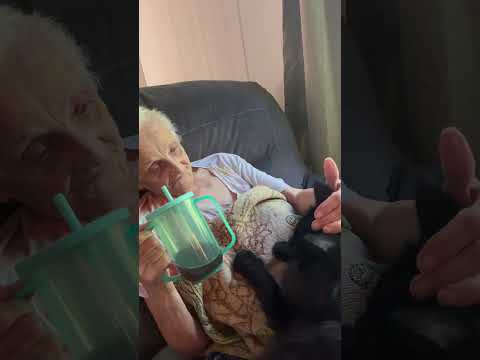 He loves his grandma #grandma #blackcat