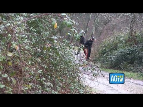 Manziana, uomo sbranato dai cani. Un abitante: «C’è gente che li lascia liberi»