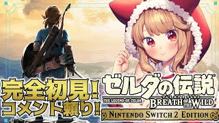 【ゼルダの伝説 ブレスオブザワイルド 】シリーズ 完全初見！ コメント頼りの初心者ゼルダ！！【 木漏日わんこ/Vtuber 】