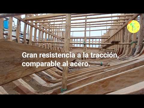 ESTRUCTURAS DE BAMBÚ QUE CONSTRUYEN  BARCOS EN MANTA