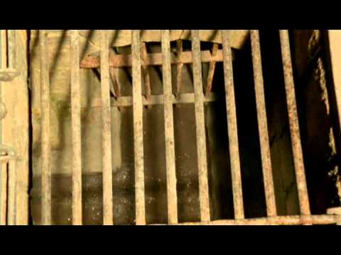 Hornblower: The Duchess and the Devil'
