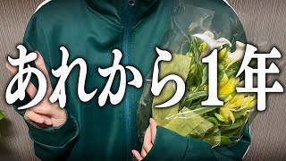 卒　業　撤　回　1　周　年