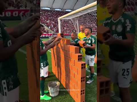 Tá complicado por verdão 😬 #palmeiras #brasileirao #flamengo #futebol #tntsports #verdao #mengão