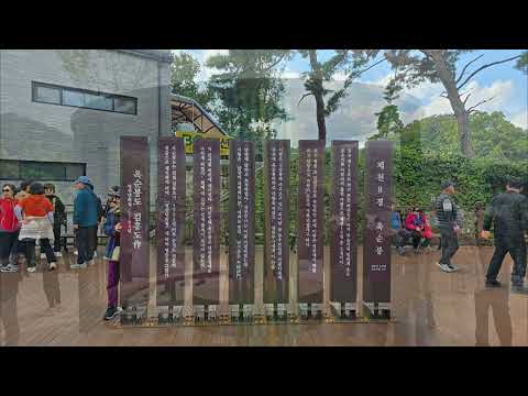 제천 단양 옥순봉 청풍호/출렁다리/#mountains/#travel/#hiking/#trekking