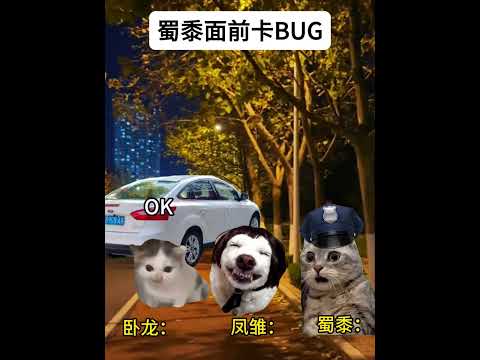 猫のミーム動画とユーモア溢れるストーリー紹介 サムネイル
