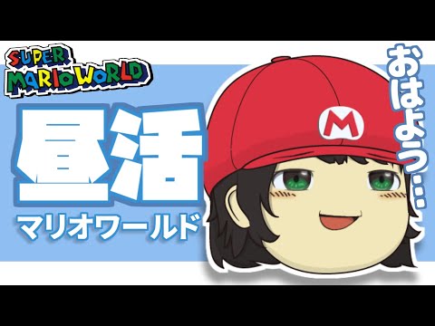 スーパーマリオワールド全ゴール最速を録画する男(多分最終回) part10