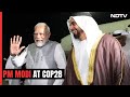 PM Modi In Dubai For COP28 As 200 Nations Reach Historic Climate Agreement