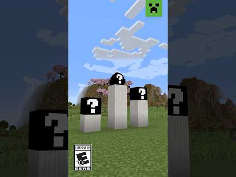 HAVE YOU SEEN THESE BLOCKS IN MINECRAFT?