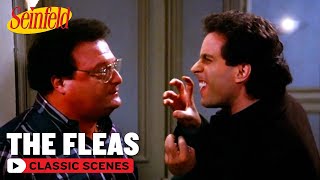 Jerry Has Fleas | The Doodle | Seinfeld
