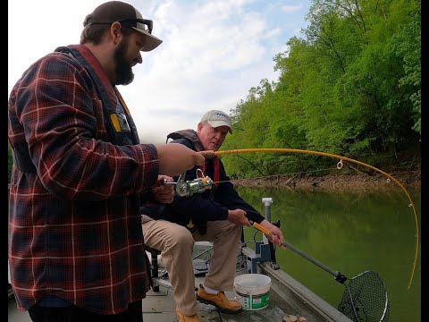 THAT ANT NO CRAPPIE!! (Crappie Catch Clean Cook)