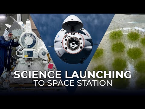 Science Launching on SpaceX’s 31st Cargo Resupply Mission to the Space Station