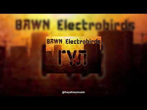 BaWN &amp; Electrobirds - Гул