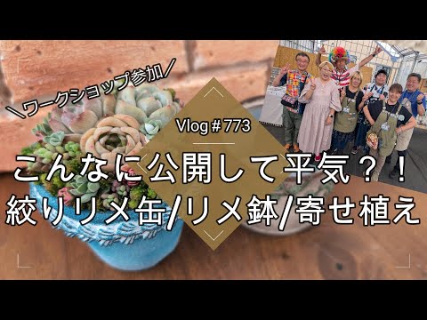 【Vlog773】【多肉植物】こんなに公開して大丈夫?!グリネしぼりのリメ缶/リメ鉢/寄せ植え🪴ワークショップに参加してきた【DIY】【リメイク】