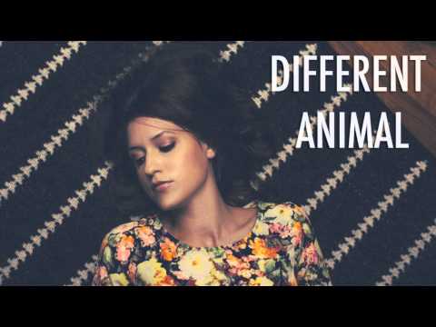 Natalie Taylor - Different Animal (featured in MTV's Finding Carter)