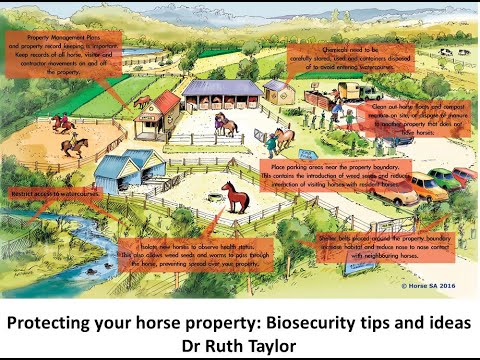 Protecting your horse property: Biosecurity tips and ideas