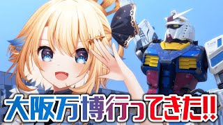 【雑談】大阪観光に行ってきたってワケ【#VTuber】