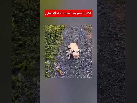 قران كريم #اكسبلور #القرآن #لايك #القرآن_الكريم #subscribe #shorts #short #quran #sleep #duet #فولو