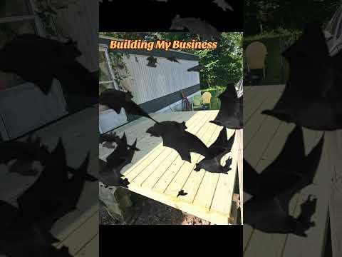 LEVELING UP WITH MY BUSINESS  #diy #build #woodworking #renovation #business  #homeprojects #100k