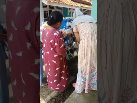 virall pedagang sayur keliling  baru buka langsung di keroyok ibu2 @senggal87