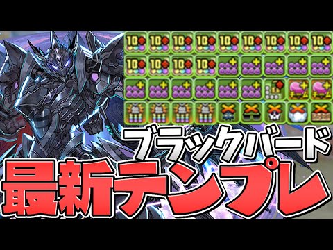 ブラックバード最新テンプレ編成！火力も耐久も完璧！四次元の探訪者【パズドラ】