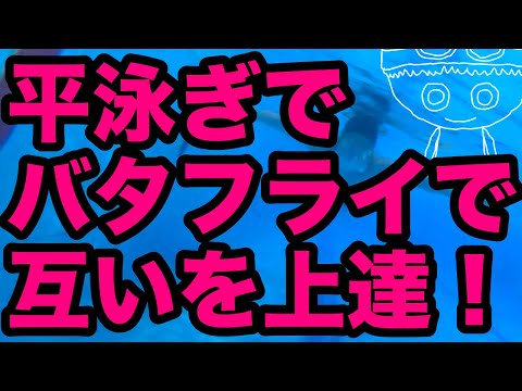 【平泳ぎ】【バタフライ】互いの問題点を互いの動きで直す