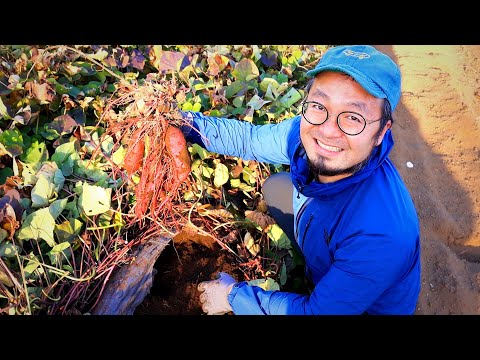 Le quotidien d'un agriculteur au Japon !