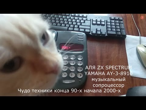 Обзор телефона русь 28