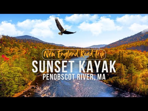 🏞🛶 Sunset Kayaking on Penobscot River 🦅🍂 New England Road Trip