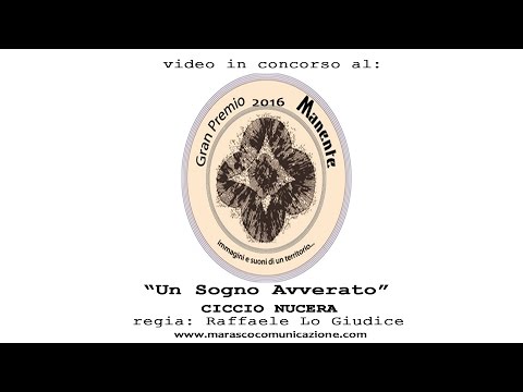 Calabria Sona - Ciccio Nucera - Quannu viru a tia tarantella