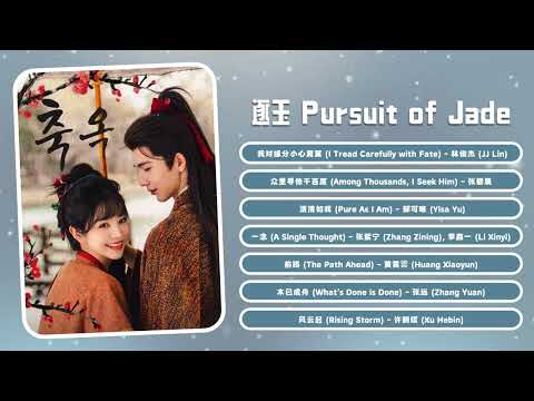 Pursuit of Jade Full Full OST《逐玉》| 影视原声带 ♪