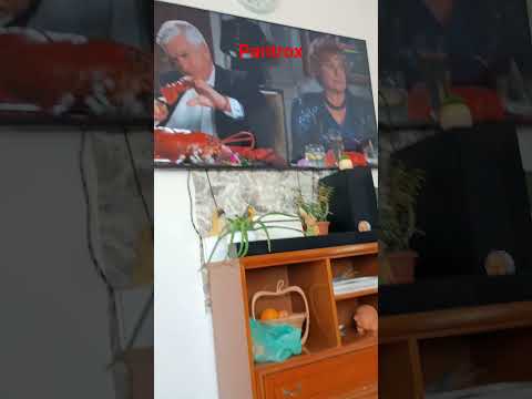 pantrox #brainot #stealabrainrot #zoochosis #zoonomaly #smilecat