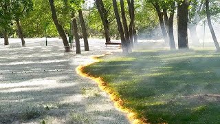 動画サムネイル