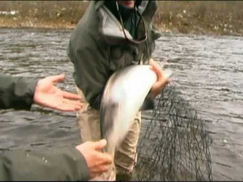 varzina fishing promo video