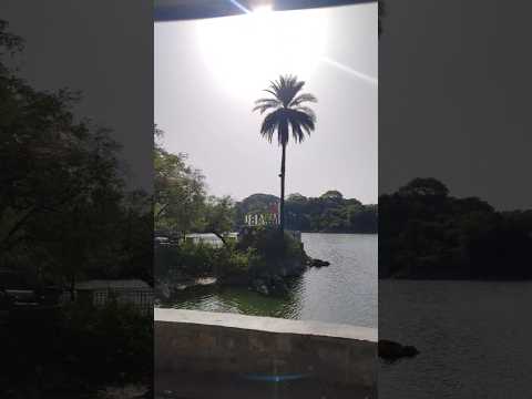 Sapphire #music #newmusic #song #cover #postmalone #shortsfeed #ytshortsindia #ytshorts #sapphire