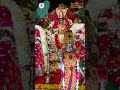 వివిధ క్షేత్రాల అమ్మవార్ల అలంకరణ -God Decorations & Idol Visuals at Koti Deepotsavam2023 Day11