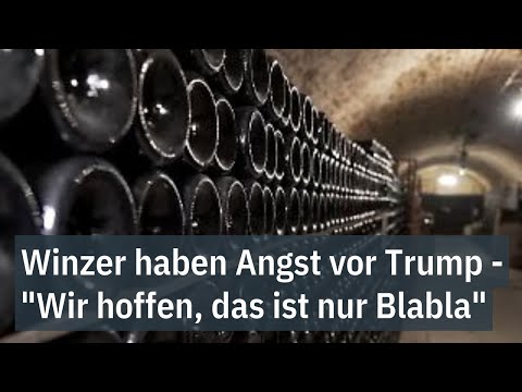 Winzer haben Angst vor Zollpolitik von Trump - 