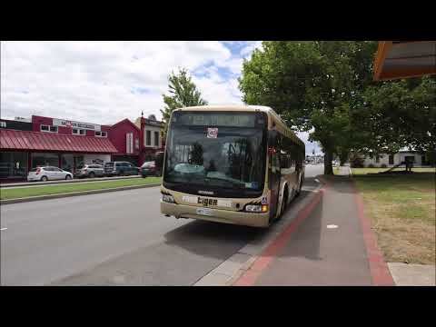 A Ride on Metro & City of Launceston's Free Tiger Bus