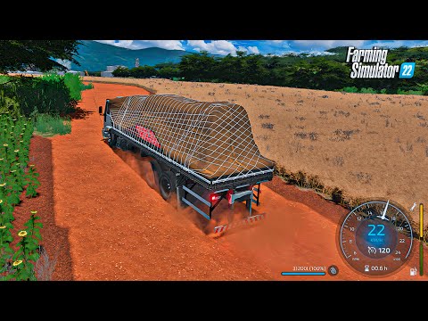 Colheita e puxe de batata em Minas gerais | Farming simulator 22